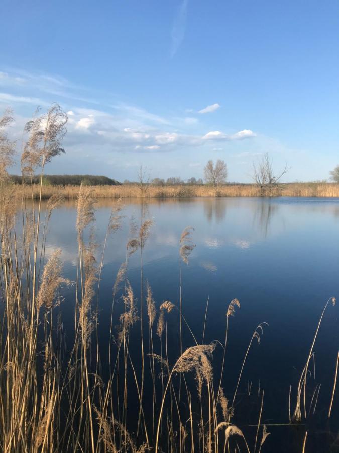 Ferienwohnungen Marita Salzwedel Dış mekan fotoğraf